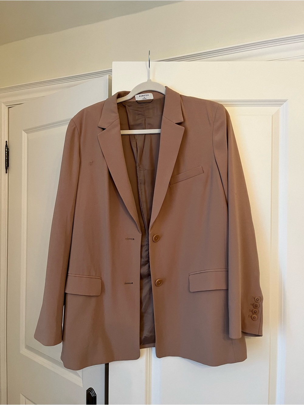 Aritzia Babaton Relaxed Blazer in Tan (Medium)
